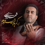 شهروز حبیبی